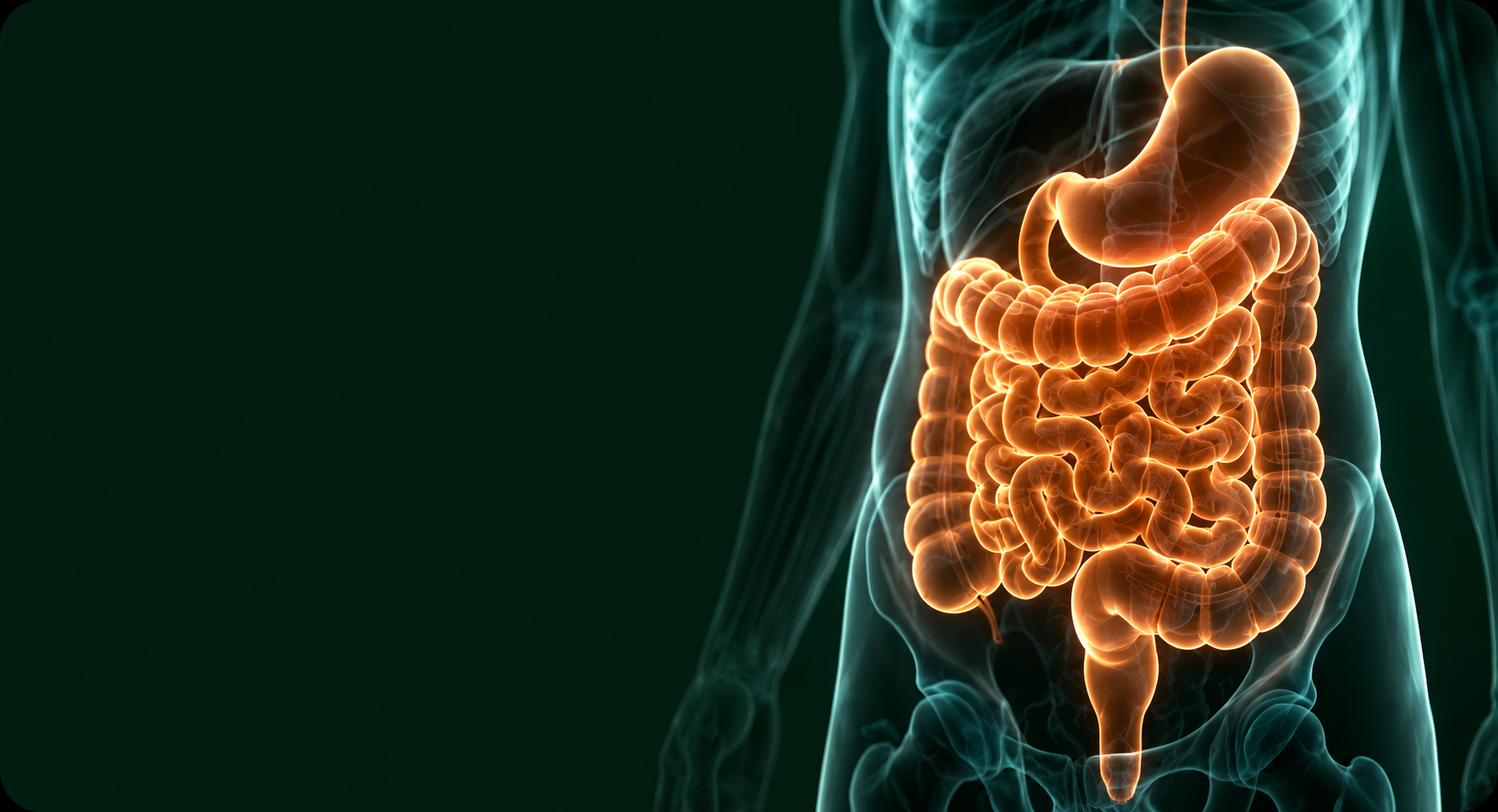 semundjet gastrointestinale